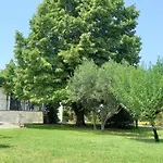 Lidden Tree Περαία