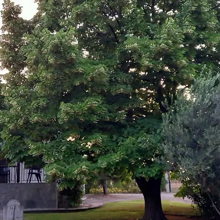 بيت للعطل Lidden Tree