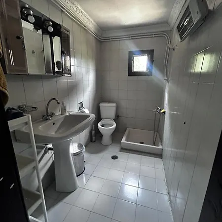 Lidden Tree * Peraia (Thessaloniki)