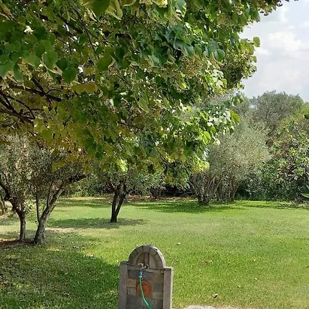 Holiday home Lidden Tree Peraia (Thessaloniki)