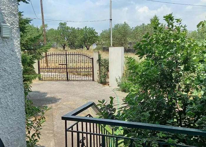 Lidden Tree * Peraía