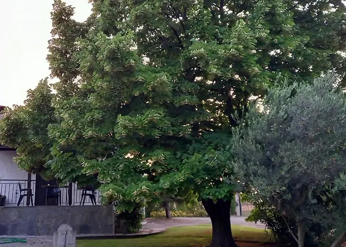 度假居 Lidden Tree