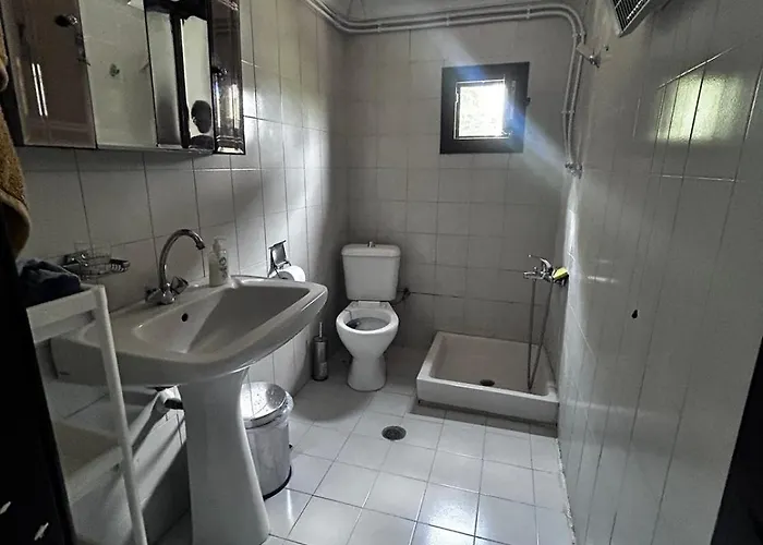 Lidden Tree * Peraía